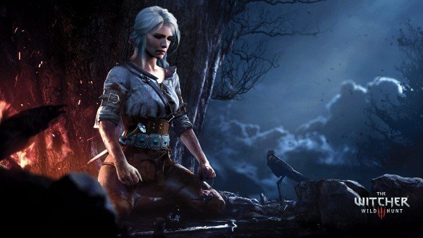 the witcher