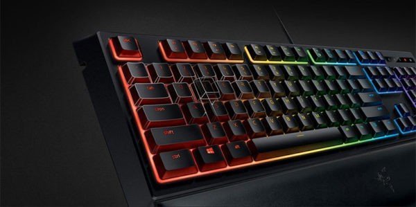 Photo: Razer Ornata Chroma