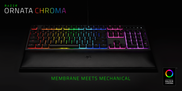 Photo: Razer Ornata Chroma