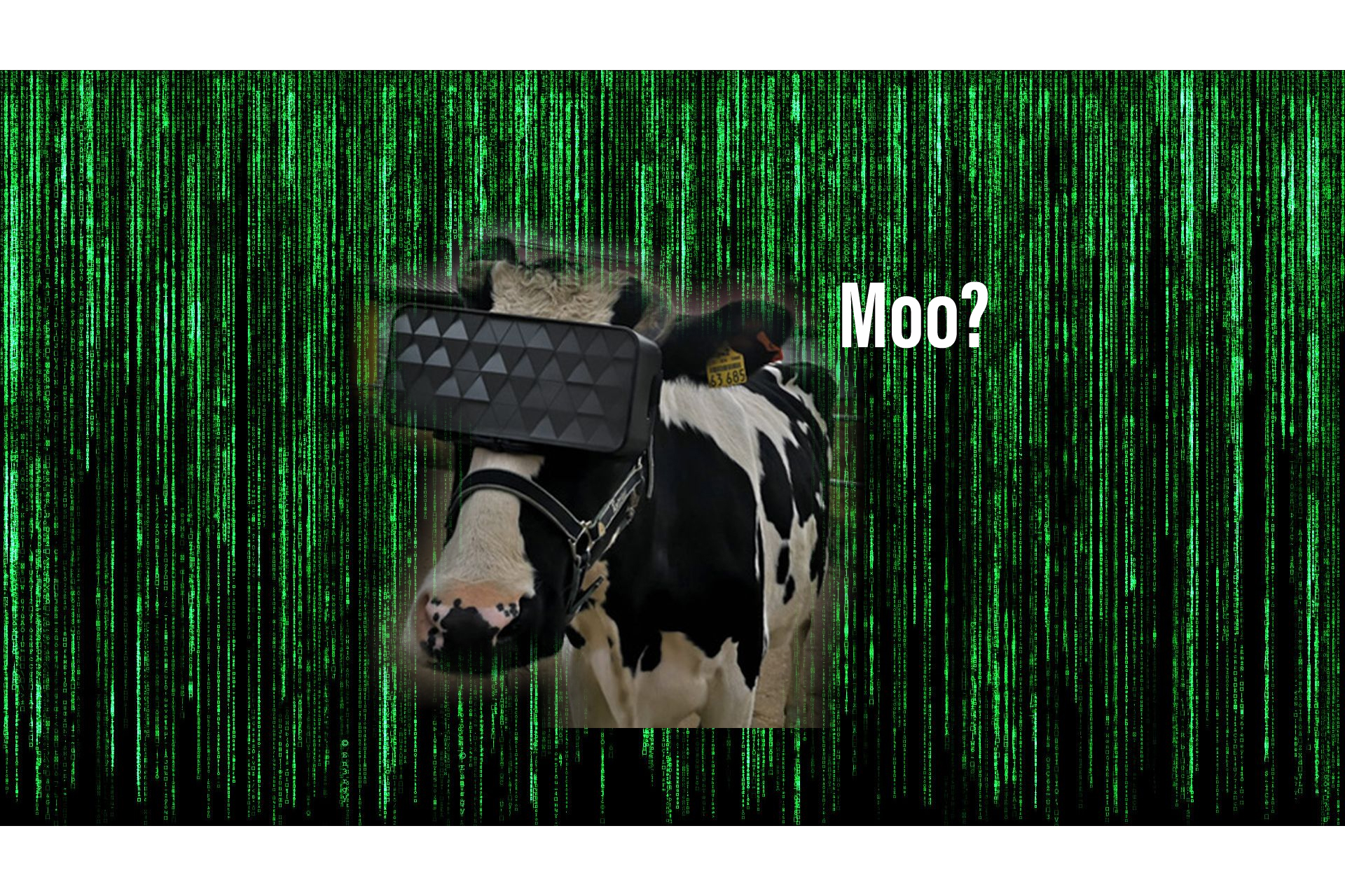 Matrix Virtual Farm Welcome To The Matrix; Russian Cows Now Living In VR | LiveatPC.com ...